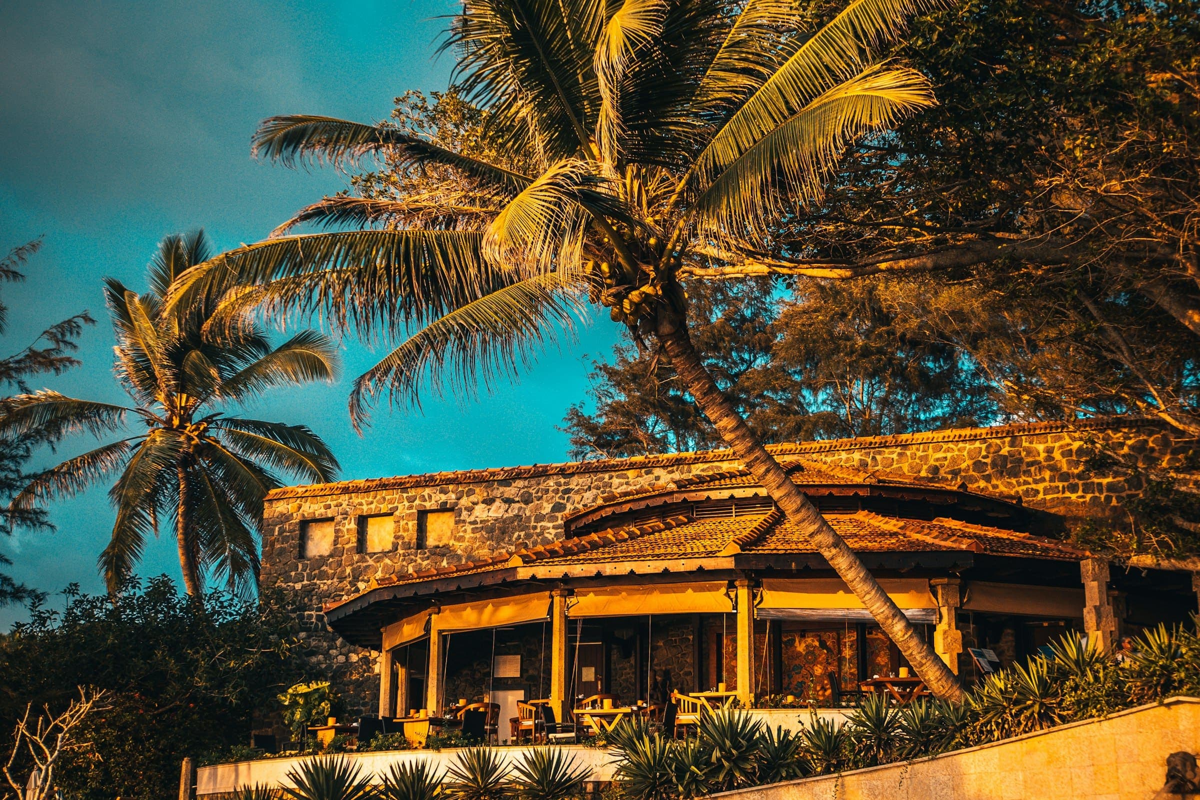 Stone guest house with a tiled roof beneath coconut palms in golden evening light